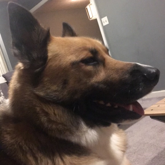 Meet your Posher, Kris - Picture 1 of 1